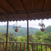 اصفهانی رامسرنشین (فرصت سرمایه‌گذاری)