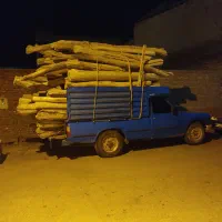 خریدقلمه بید چوب خشک کهنه|خدمات باغبانی و درختکاری|قره ضیاالدین, |دیوار