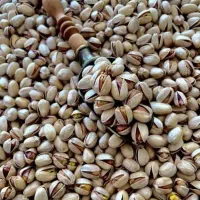 پسته کله قوچی
