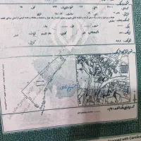 زمیت تجاری اول فرحزاد