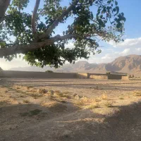 فروش زمین باغی و کشاورزی