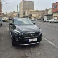 سورنتوجی تی لاین