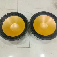 میدرنج 12 اینج