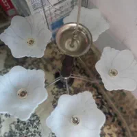 لوستر۵شاخه|لوستر و چراغ آویز|قزوین, |دیوار