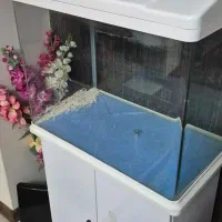 اکواریوم  با  پایه  کمدی