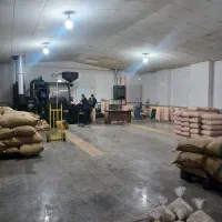 قهوه ب قیمت کارخانه