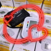 مراقب فشارخونت باش