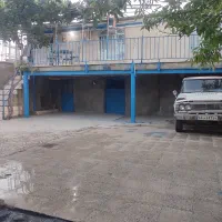 تویتا استاوت