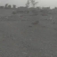 زمین زراعی