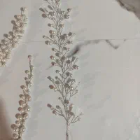 ریسه شنیون|بدلیجات|مشهد, طبرسی شمالی|دیوار