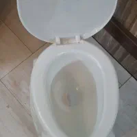توالت فرنگی