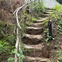 ویلا سرسبز و دنج در صومعه سرا|اجارهٔ کوتاهمدت ویلا و باغ|گوراب زرمیخ, |دیوار