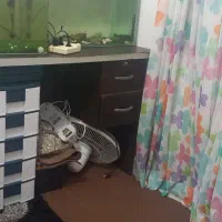 میز کامپیوتر یا تحریر