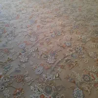 فرش ۲۴ متری گل برجسته طرح درباری. نو تمیز و سالم|فرش|مشهد, شهرک لشکر (شهرک غرب)|دیوار