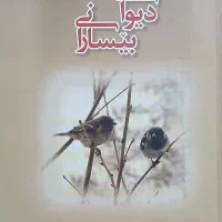 کتاب دیوانی بیسارانی