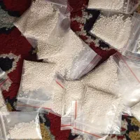 پودر شپش رودان