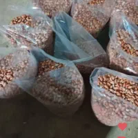 بادام زمینی درشت گلی درجه یک