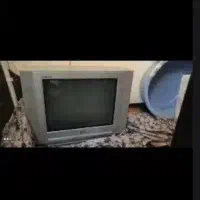 تلویزیون