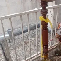 قلیان یک متری