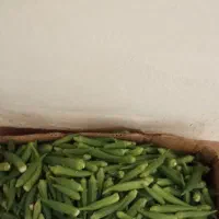 بامیه  هروز تاز از 1کیلو تا 20کیلو|خوردنی و آشامیدنی|منوجان, |دیوار