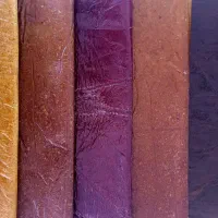 لواشک صددرصدمیوه ای