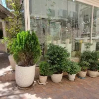 استخدام باریستا و سالن کار دختر یا پسر
