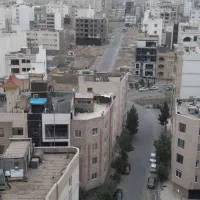 ۲۵۰مترویلائی*جنوبی* سیدرضی۱۷*تراکم زیاد گونه۲
