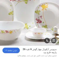 ۳ دست،۶ نفره پارس اوپال با کارتون نو ی نو ..|ظروف سرو و پذیرایی|تهران, خانی آباد نو شمالی|دیوار