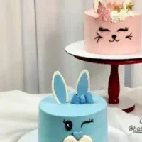 کودکانه،کیک|اسباب‌بازی بچه|زابل, |دیوار