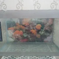 آکواریوم قفس خرگوش کتری اسکوتر