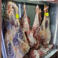 کارگر قصابی