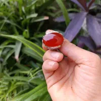 انگشتر های زیبا|جواهرات|قم, سراجه (۱۵ خرداد)|دیوار