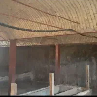 دامداری و گاودادی|فروش دفتر صنعتی، کشاورزی، تجاری|قروه, |دیوار