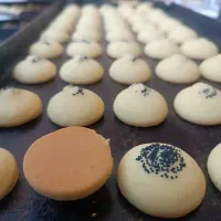 همکار نان برنجی