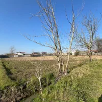 فروش ۱۰۰۰متر زمین مسکونی سپیدار