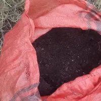 سلام کود حیوانی چند سال هست الک شده گونی