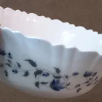 ظروف سرو آرکوپال امارات و فرانسه