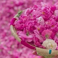 تور یک روزه کاشان نیاسر حمام فین کاشان