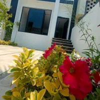 فلت مدرن سندار با پیش پرداخت 3 میلیارد