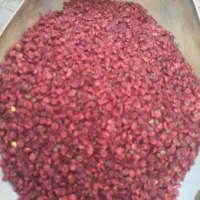 به لیمو تازه سبز و درشت بار سوپر لوکس صادراتی تا|خوردنی و آشامیدنی|تهران, بازار|دیوار