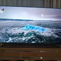 تلوزیون ۵ ماه خریداری شده نو نو میباشد|تلویزیون و پروژکتور|کرج, خرمدشت|دیوار