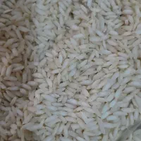 برنج عنبربو،شوشتر،شرط پخت|خوردنی و آشامیدنی|رامهرمز, |دیوار