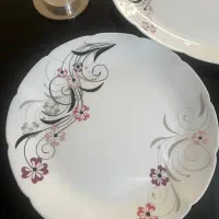 سرویس پذیرایی ارکوپال دسینی