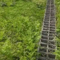 ۲۰۰ متر زمین در شهر فومن
