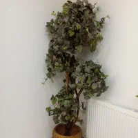 درختچه مصنوعی کاملا سالم|گل مصنوعی|شیراز, فضلآباد|دیوار