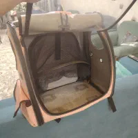 کیف حمل حیوانات