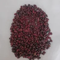 پخش عمده وخرده حبوبات با قیمتهای مناسب