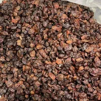 پخش و فروش عمده انواع کشمش افتابی