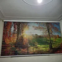 پرده زبرا منظره