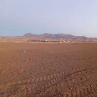 اجاره زمین کشاورزی